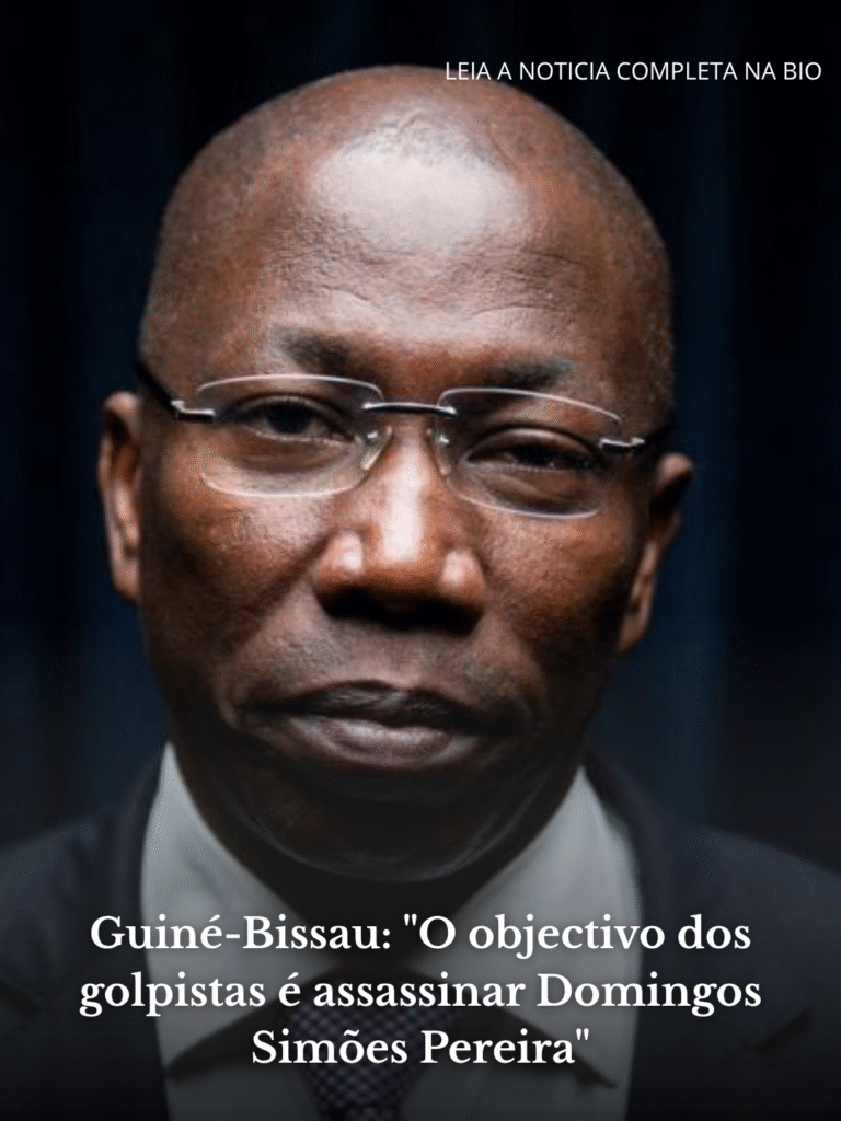 Guiné Bissau desmantela rede de emigração clandestina (12)