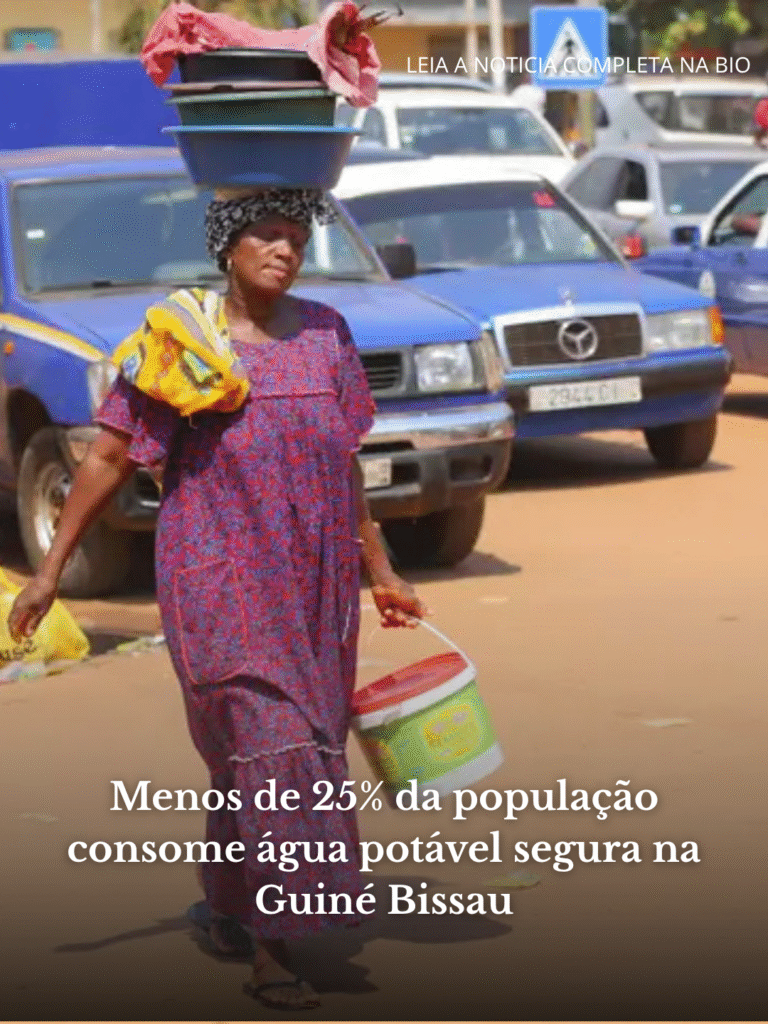 Guiné Bissau desmantela rede de emigração clandestina (7)