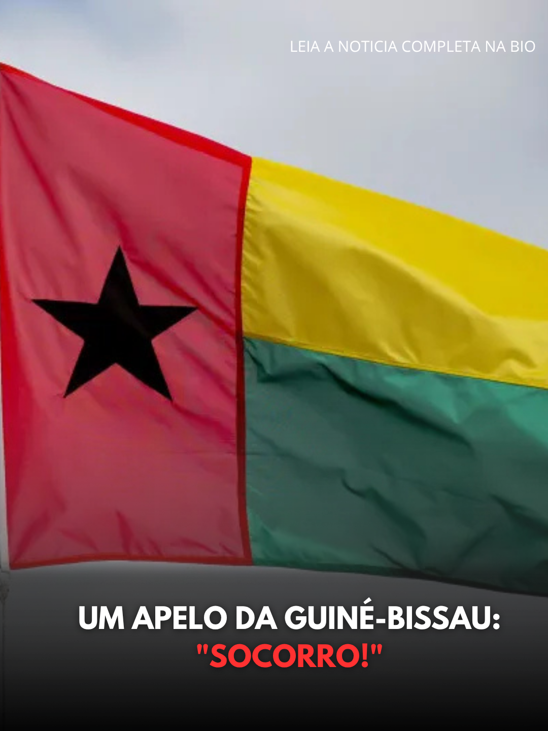 Guiné Bissau desmantela rede de emigração clandestina (38)